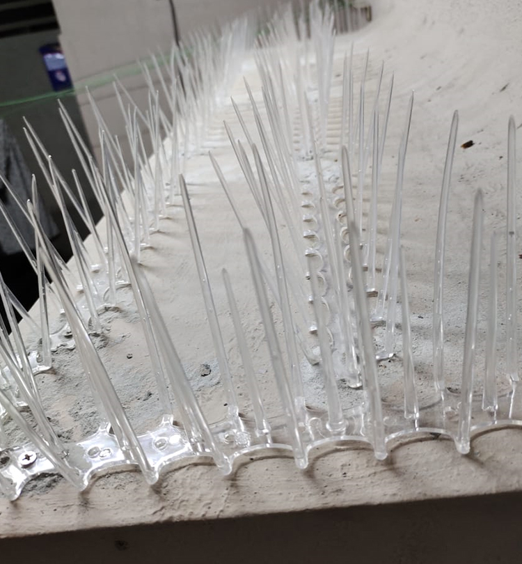 Bird Spikes