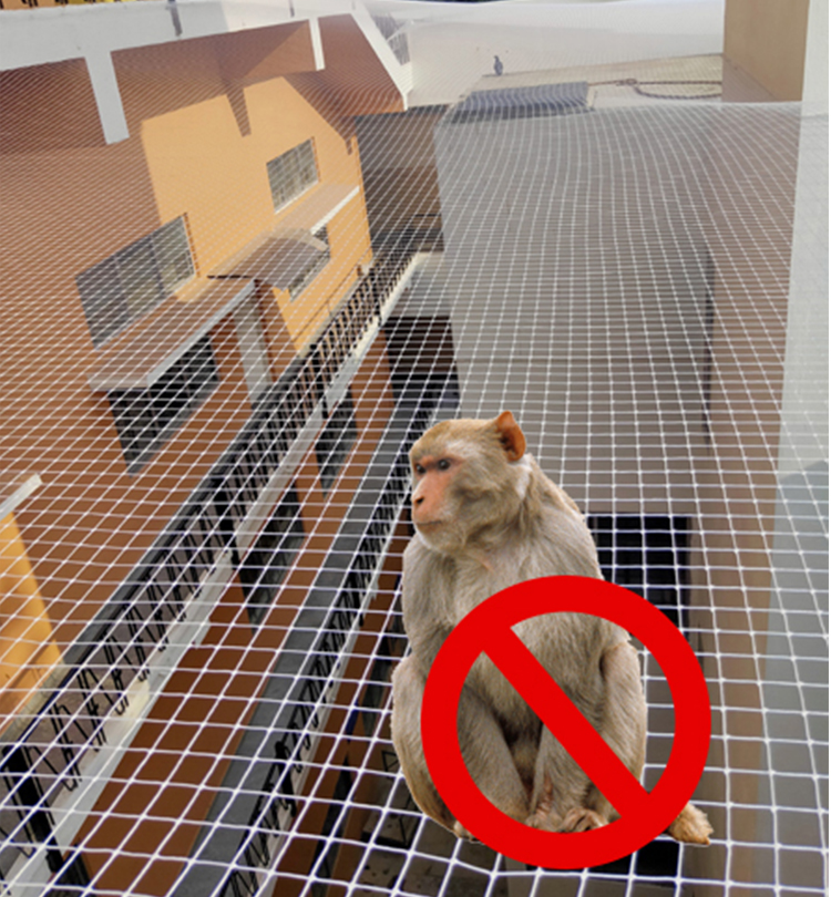 Monkey Safety Nets