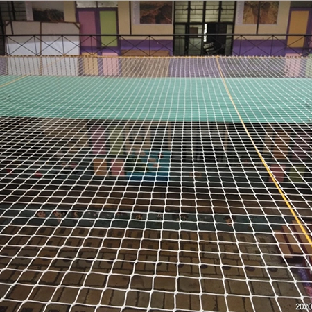 Coconut Tree Safety Nets